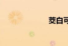  茭白可以炖汤吗 