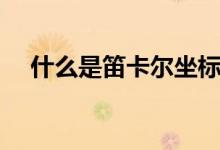 什么是笛卡尔坐标（什么是笛卡尔坐标）