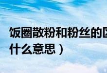 饭圈散粉和粉丝的区别（饭圈经常说的散粉是什么意思）