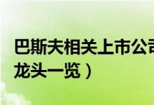 巴斯夫相关上市公司有哪些（巴斯夫上市公司龙头一览）