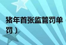 猪年首张监管罚单（三位牛散一路高调增持被罚）