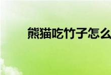 熊猫吃竹子怎么消化（熊猫吃肉吗）
