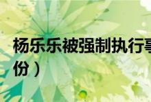 杨乐乐被强制执行事件原因（揭其个人资料身份）
