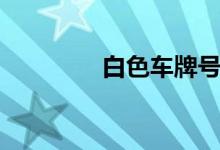  白色车牌号bs是什么意思? 