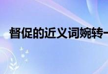 督促的近义词婉转一点（督促的近义词是）