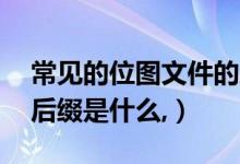 常见的位图文件的后缀有（请问位图是什么,后缀是什么,）