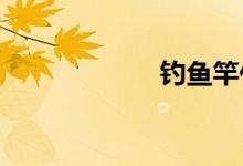  钓鱼竿什么品牌好 