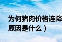 为何猪肉价格连降10周（猪肉价格降两成的原因是什么）