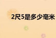 2尺5是多少毫米（2尺5是多少厘米?）