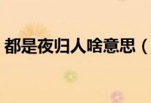 都是夜归人啥意思（都是夜归人要表达什么）