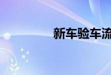 新车验车流程及注意事项 