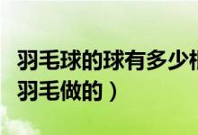 羽毛球的球有多少根羽毛（羽毛球上有多少根羽毛做的）