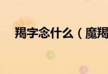羯字念什么（魔羯座的（羯）字读什么）