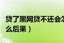 贷了黑网贷不还会怎么样（黑网贷不还会有什么后果）