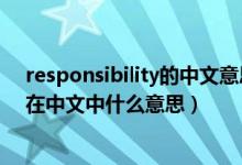 responsibility的中文意思（英文responsibility这个单词在中文中什么意思）