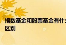 指数基金和股票基金有什么关系 指数基金和股票基金有什么区别