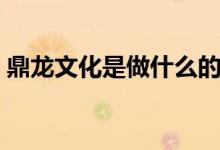鼎龙文化是做什么的（怎么股价跌了这么多）