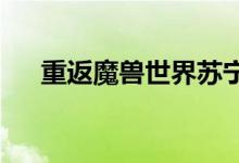  重返魔兽世界苏宁魔兽主题手机壳卖疯 