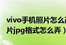 vivo手机照片怎么改成jpg格式（vivo手机照片jpg格式怎么弄）