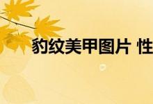  豹纹美甲图片 性感女人必备豹纹美甲 