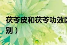 茯苓皮和茯苓功效区别（茯苓皮和茯苓功效区别）