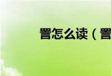 詈怎么读（詈怎么读（图文））