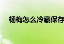 杨梅怎么冷藏保存（杨梅怎么冷冻保存）