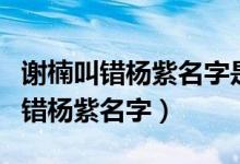 谢楠叫错杨紫名字是怎么回事（为什么谢楠叫错杨紫名字）