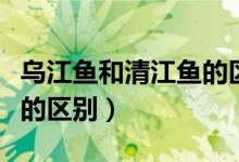 乌江鱼和清江鱼的区别图片（乌江鱼和清江鱼的区别）