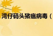 湾仔码头猪瘟病毒（该企业对此进行回应了）