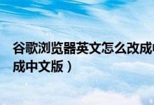 谷歌浏览器英文怎么改成中文（英文版谷歌浏览器怎么设置成中文版）