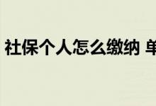 社保个人怎么缴纳 单位社保缴纳比例是多少 