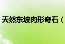 天然东坡肉形奇石（东坡肉形石是怎么样呢）