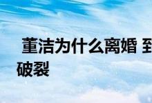  董洁为什么离婚 到底是谁出轨造成多年婚姻破裂 