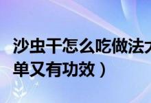 沙虫干怎么吃做法大全（沙虫干怎样吃法最简单又有功效）