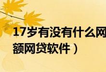 17岁有没有什么网贷软件（18岁容易过的小额网贷软件）