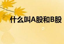 什么叫A股和B股 a股和b股开户一样吗 