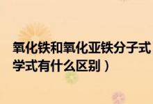 氧化铁和氧化亚铁分子式（氧化亚铁的化学式与氧化铁的化学式有什么区别）
