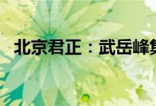 北京君正：武岳峰集电拟减持不超2%股份