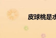  皮球桃是水蜜桃还是毛桃 