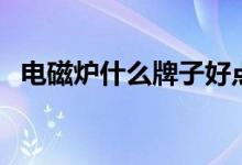 电磁炉什么牌子好点（电磁炉什么牌子好）
