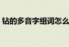 钻的多音字组词怎么组（钻的多音字和组词）