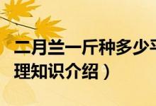 二月兰一斤种多少平方（二月兰价格及养殖管理知识介绍）