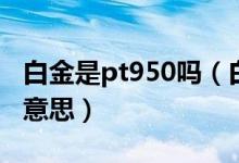 白金是pt950吗（白金里的“pt950”是什么意思）