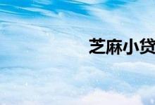 芝麻小贷（芝麻小贷）