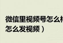 微信里视频号怎么样修改名字（微信里视频号怎么发视频）