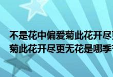 不是花中偏爱菊此花开尽更无花是什么意思（不是花中偏爱菊此花开尽更无花是哪季节）