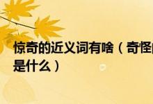 惊奇的近义词有啥（奇怪的近义词是什么还有惊奇的近义词是什么）