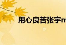 用心良苦张宇mv（用心良苦张宇）