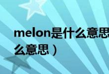 melon是什么意思英语怎么读（melon是什么意思）